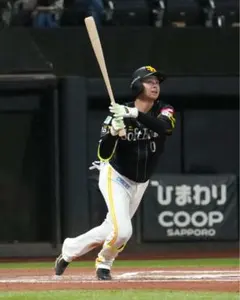 とりマル様専用