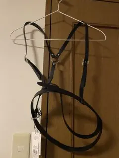 Item thumbnail for item a7fbf777-06b0-4111-8683-1a222a9a0939