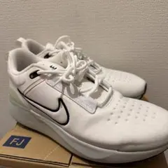 NIKEスニーカー白E SERIES1.0 28cm