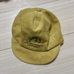 キッズ用キャップ　はらぺこあおむし