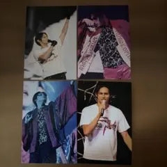 ランペ　龍　PRIMAL SPIDER ポストカードセット