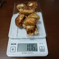 2025年最新】バカマツタケの人気アイテム - メルカリ