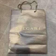 Item thumbnail for item 1dd8c1e5-f3c4-4b24-b95a-e5539ad4443e