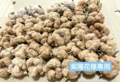 紫陽花様専用ページ