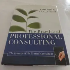 The Practice of Professional Consulting