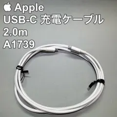 Apple 純正 USB-C 充電ケーブル2.0m A1739