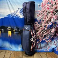 2025年最新】キャロウェイキャディバッグスタンドの人気アイテム