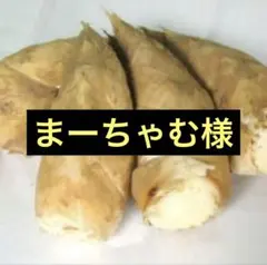 まーちゃむ様　京都山城産　朝掘り筍5kg