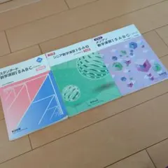 シニア数学演習 Ⅰ・II・A・B・C 3冊セット