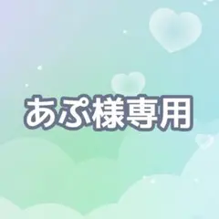 【あぷ様オーダーページ】硬質ケース　デコ・B8 ダブルフリル