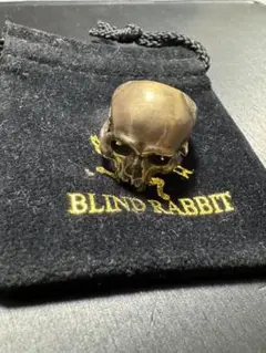 Evolution I Aging［BLIND RABBIT］23号