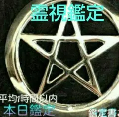 ●霊視鑑定●　悩み一つ　鑑定書　清め塩付き《平均1時間以内ご回答》