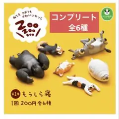 2026年最新】もうしら寝の人気アイテム - メルカリ