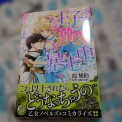 王子さまの溺愛は暴走中～俺の天使は世界一可愛い～