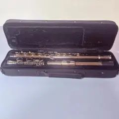 2026年最新】Maxtone フルートの人気アイテム - メルカリ