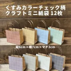 くすみカラー チェック柄 クラフトミニ紙袋 12枚セット