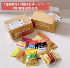 ミニチュアフード　ミニチュア　ポテチ