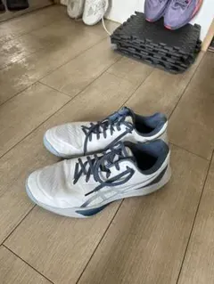 ASICS SKY ELITE FF 3 28.5 早い者勝ちです