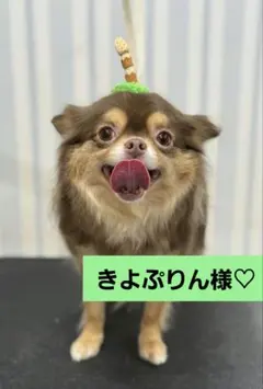 きよぷりん様♡ありがとうございます♡