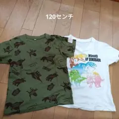恐竜柄　Tシャツ　2枚セット 120　まとめ売り　半袖