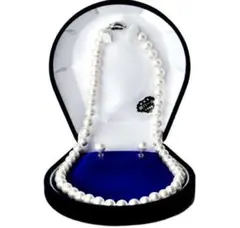 ビーンズクラスプ 貝 パール 8mm 一連 ロングネックレス ピアス セット