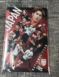 男子バレーボール ツインウェハース2025