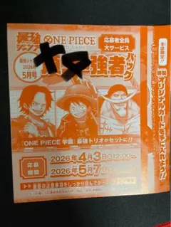 最強ジャンプ 5月号 応募者全員サービス 頂上の強者パック ONE PIECE