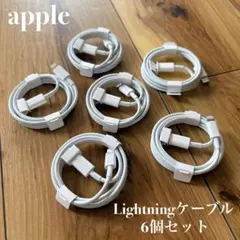 apple 純正品 Lightningケーブル 6点セット