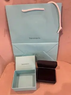 Tiffany ティファニー ピアスケース 空箱&ショッパー