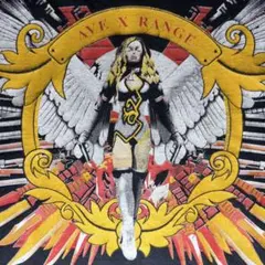 AVE X RANGE　Tシャツ　ニューヨーク市警察射撃練習場　銃器　エンジェル