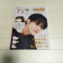 ねこ no.136 ニコラス　&TEAM