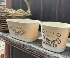 作家作品 プラ鉢 2個 通気性 多肉植物 育苗 寄せ植え