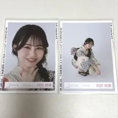 櫻坂46 向井純葉　2024年 浴衣　生写真2枚