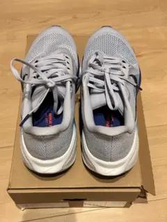 Nike ランニングシューズペガサス41