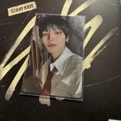 Stray Kids スキズ アイエン トレカ HOP nemo 封入