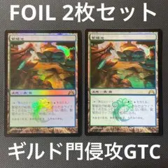 MTG 沸騰する小湖 SPG foil - メルカリ