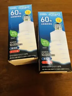 【未使用・新品】OHM ECOdeQ 電球形蛍光ランプ 2個セット E17