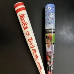 Item thumbnail for item f8cfec4f-9389-489b-9d43-2f2071c86550