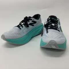 Item thumbnail for item 97e8f484-5cec-486b-8d1e-f74a2a6f9aa0