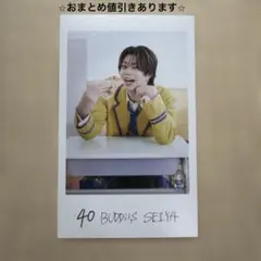【BUDDiiS SEIYA】エビライ 2026 ミニフォト 隣の席セット(後)