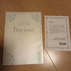 Precious 2014年発行 アートブック