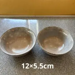 Item thumbnail for item 23875012-2975-42f0-89f5-449be1f6f39c