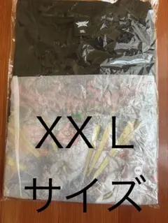 BABYMETAL 「奏神狐神」 QUICK-DRY TEE サイズXL - メルカリ