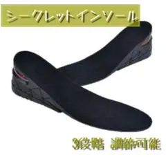3段階 調節可能 黒 シークレット インソール エアクッション 中敷きのサムネイル