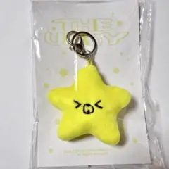ヘチャン ヒトデ md イリチル unity nct127 - メルカリ