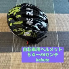 Item thumbnail for item 1820adac-6755-4a74-bcde-29ddf0043a7c