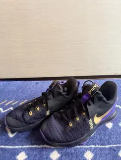 NIKE LEBRON ナイキ レブロン ウィットネス5 レイカーズ