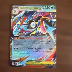 ニンジャスピナー 複数枚 メガゲッコウガex ケンタロスAR