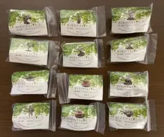 海洋堂　バードテイルズ第2弾　12種フルコンプ　ボトルキャップフィギュア　未開封