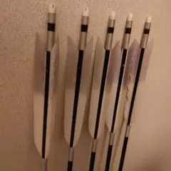 2013 ジュラ矢 95cm ハナハク 「龍」弓道 - メルカリ